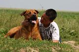 ENFANT ET CHIEN 383